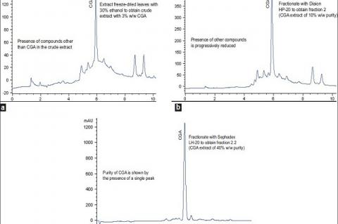 Standardised herbal extract of chlorogenic acid from leaves of Etlingera elatior (Zingiberaceae)