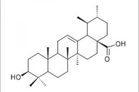 Acaricidal effect of an isolate from Hoslundia opposita vahl against Amblyomma variegatum (Acari: Ixodidae)