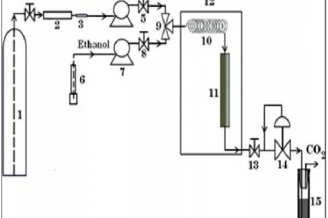 Schematic diagram of SFE system: (1) CO2 tank; (2) molecular sieve filter; (3) ss 2 µm pore size filter; (4) carbon dioxide transfer pump; (5, 8, 13) two-way needle valves; (6) Ethanol v; (7) high-pressure piston pump; (9) three ways valve; (10) preheating coil; (11) extraction cell; (12) thermostated oven; (14) back-pressure regulator; (15) sample collection vessel