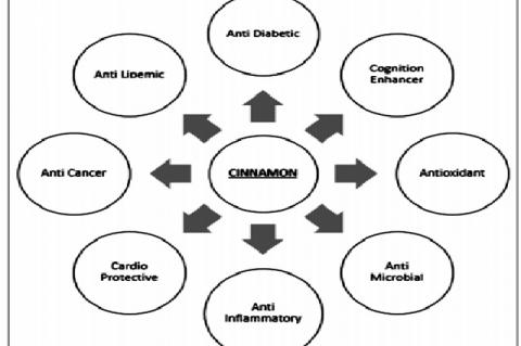 Pleiotropic effects of cinnamon