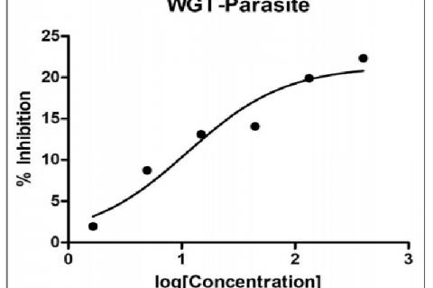 Effect of Wushwush green tea extract on Leishmania parasite
