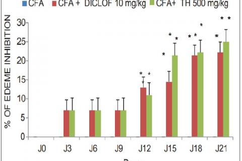 Inhibitory effect of Thymelaea hirsuta (TH) extracts on the paw diameter in complete Freund’s Adjuvant (CFA)-induced arthritis. Experimental arthritis was induced in the left footpad of each rat by a s.c. injection of with 0.2 mL of CFA. Rats in the test groups were treated with the extract of TH (500 mg/kg body weight p.o.) every day for 21 days after the CFA challenge. The control group received normal saline (3 ml/kg body weight p.o.), while the third group received the diclofenac (10 mg/kg body weight p