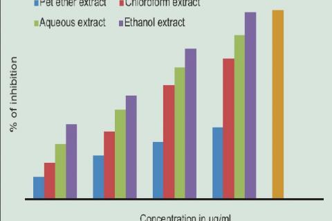 Lipoxygenase inhibitory activities of different extracts of leaf gall of Terminalia chebula. The plant extract sample (200–800 μg/mL) was preincubated with soybean lipoxidase enzyme (20,000 U/mL) for 5 min at 25°C. Linoleic acid solution (0.6 mM) was added, mixed well, and absorbance was measured at 234 nm. Indomethacin (60 μg/mL) was used as reference standard. Activity was measured and expressed as % inhibition. Each value is expressed as the mean ± standard deviation