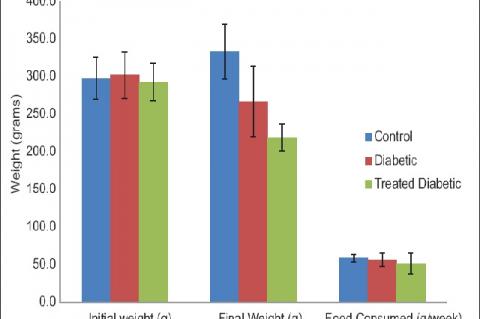 Body weight changes and food intake of diabetic rats administered aqueous preparation of Kalanchoe pinnata. Means ± standard error of the mean, values were not significantly different among the groups (P > 0.05)