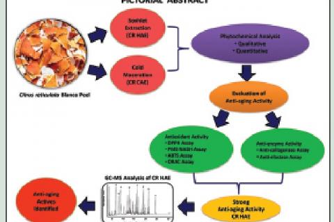 Evaluation of Skin Anti‑aging Potential of Citrus reticulata Blanco Peel