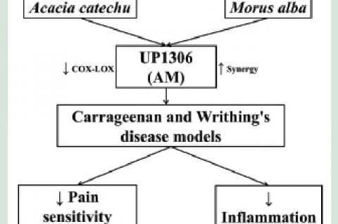 UP1306, a Botanical Composition with Analgesic and Anti‑inflammatory Effect