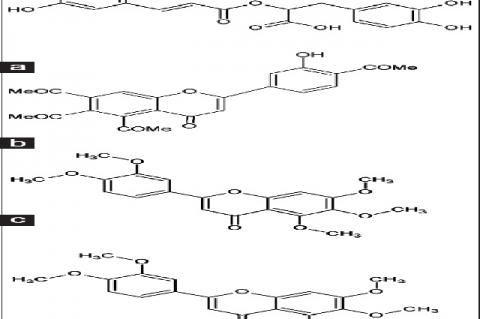Chemical structure of: (a) rosmarinic acid, (b) 3’‑hydroxy‑5,6,7,4’‑tetramethoxyflavon, (c) sinensitin, and (d) eupatorin found in Orthosiphon stamineus extracts