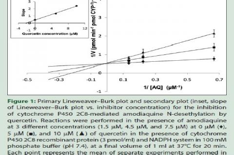 Primary Lineweaver–Burk plot and secondary plot (inset, slope of Lineweaver–Burk plot vs. inhibitor concentration) for the inhibition of cytochrome P450 2C8‑mediated amodiaquine N‑desethylation by quercetin. Reactions were performed in the presence of amodiaquine at 3 different concentrations (1.5 μM, 4.5 μM, and 7.5 μM) at 0 μM (♦), 5 μM (■), and 10 μM (▲) of quercetin in the presence of cytochrome P450 2C8 recombinant protein (3 pmol/ml) and NADPH system in 100 mM phosphate buffer (pH 7.4), at a final vol