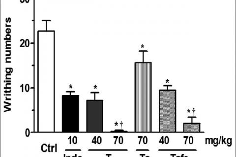 Effects of oral treatment of mice with the vehicle (Ctrl), triterpene compounds‑β‑amyrin, taraxasterol, pseudo‑taraxasterol in a mixture (T), β‑amyrin, taraxasterol, pseudo‑taraxasterol acetates in a mixture (Ta), β‑amyrin, taraxasterol, pseudo‑taraxasterol acetate in a mixture with β‑amyrin, taraxasterol, pseudo‑taraxasterol myristates (Tafe) extracted from Pluchea quitoc DC. aerial parts or indomethacin (Indo) on acetic acid‑induced writhing. The vertical bars indicate the mean ± standard error of the mea