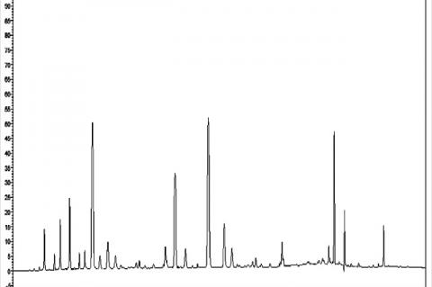 High‑performance liquid chromatography profiling of Pithecellobium dulce saponin‑enriched fraction at 210 nm