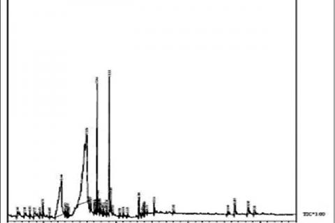 Gas chromatography-mass spectrometry chromatogram of methanolic root extract