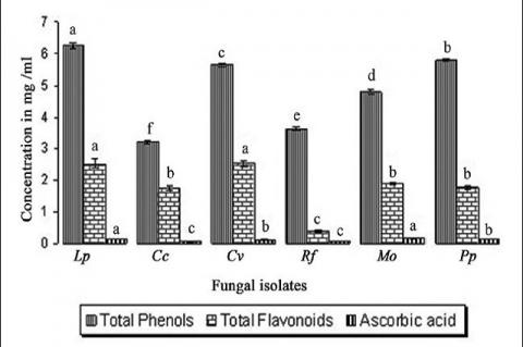 Bioactive components of methanolic extract of mushrooms Lp - Lycoperdon perlatum