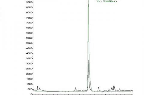 An overlay GC–MS chromatogram of C. iners extract and standard beta-caryophyllene