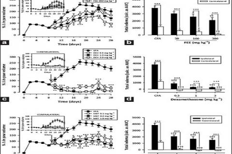 Effect of FEE (30–300 mg/kg p.o.)