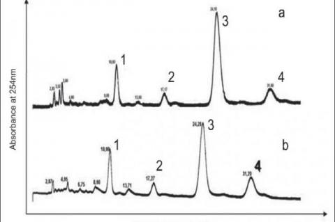 HPLC of T. flavicans brute extracts