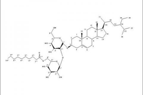 Structure of β-sitosterol diglucosyl caprate (compound AG 5)