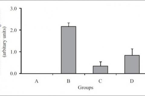 Tubulointerstitial damage index in kidney section of control and treatment groups