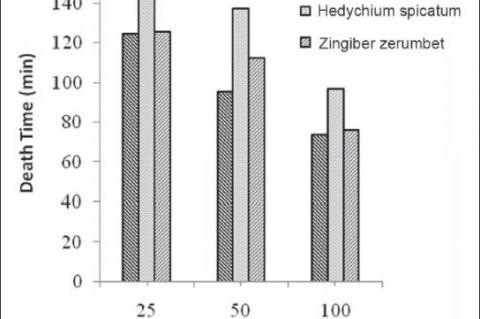 Comparative studies of death time of Hedychium spichatum and Zingiber zerumbet and the standard albendazole
