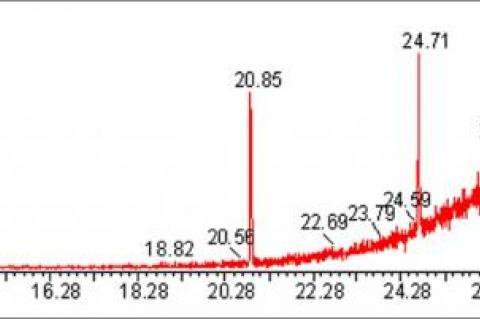 GC-MS chromatogram of P. chinense ethanolic extracts.