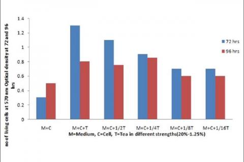 Evaluation of lymphoproliferative action of black tea using MTT assay