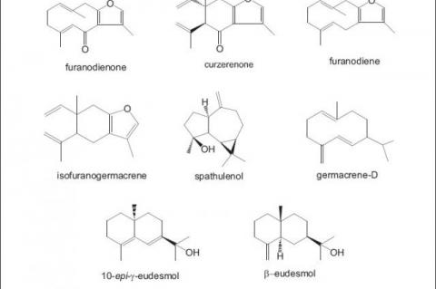 Structure of the constituents of Lindera pulcherrima