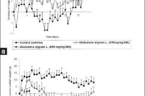  Effect of G. alypum on weight growth in the male rat (a) and in the female rat (b)