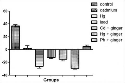  Effects of heavy metal on body weight gain in rats treated with ginger