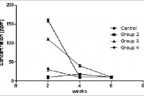 The concentration of lead in the liver of rats at weeks 2, 4 and 6