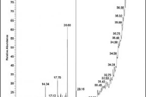 GC-MS analysis of bio-active compounds in methanolic extract of Lactuca runcinata DC