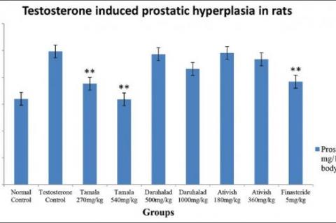 Relative prostate weight of rats