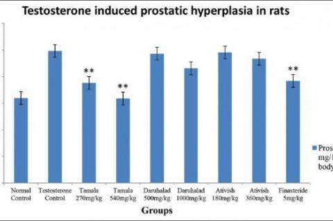 Relative prostate weight of rats