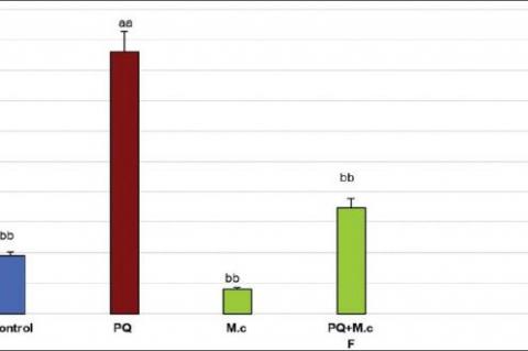 Lipid peroxidation (LPO) in lung tissue of rats. aaSignificantly different from control group