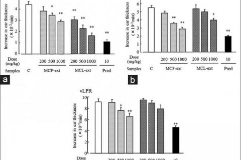 Effects of MCF-ext, MCL-ext and prednisolone on IgE-mediated triphasic cutaneous reaction induced by DNFB