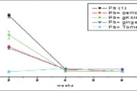 Effects of the various nutrient substances on lead accumulation in the liver of rats