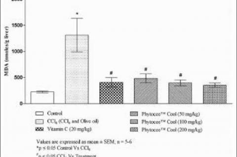 Effect of Phytocee™ Cool on carbon tetrachloride induced lipid peroxidation in rat liver