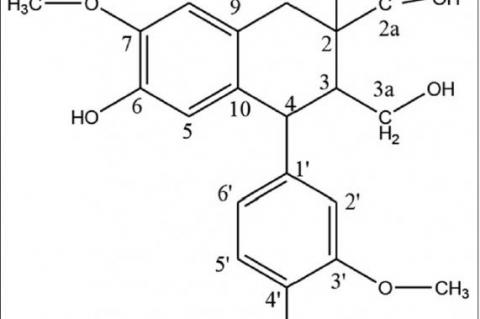 Cycloolivil, a lignan from the roots of Stereospermum suaveolens