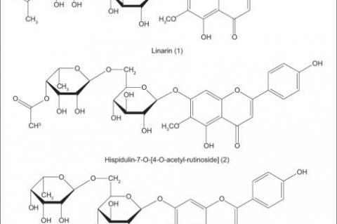 Alpha‑amylase inhibitory activity and phytochemical study of Zhumeria majdae Rech. f. and Wendelbo