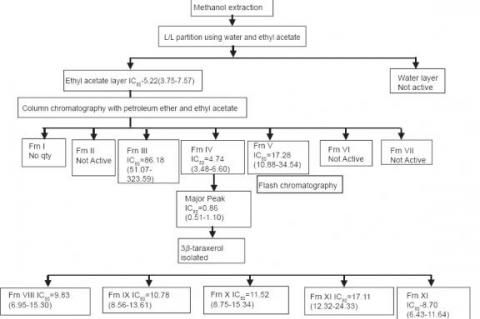 Cholesterol esterase inhibitory activity of bioactives from leaves of Mangifera indica L