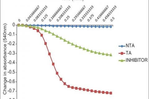 In vitro Ca2+ - induced opening of rat liver mitochondrial membrane permeability transition pore and inhibition of the opening by spermine