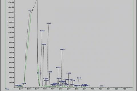 Chromatogram of Mentha piperita essential oiltreating