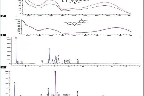 High‑performance liquid chromatography analysis of hydroalcoholic extract of Chrysobalanus icaco