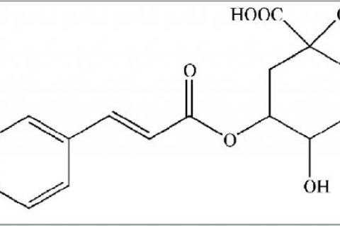 The structure of chlorogenic acid