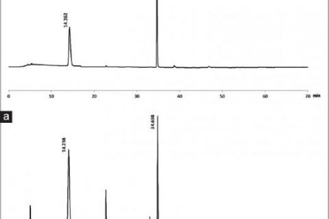 (a) The chromatogram of liquiritin and glycyrrhizic acid