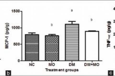 Effect of Moringa oleifera on hepatic inflammatory biomarkers in diabetic and nondiabetic rats. Each bar represents mean (standard deviation) of 12 rats