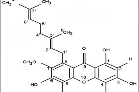 Rubraxanthone