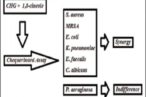 Graphical Abstract