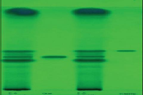 Ultraviolet mode at 254 nm Que‑standard Quercetin, E.A. extract‑ethyl acetate extract, kaemp‑standard kaempferol