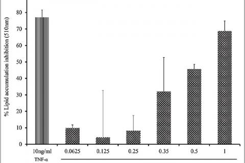 Effect of Annona squamosa extract (RM606) on lipid accumulation