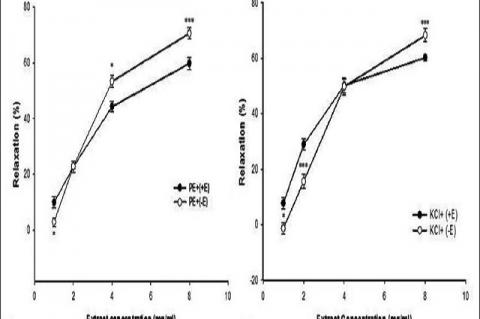 Effect of cumulative concentrations of Teucrium polim extract (1, 2, 4 and 8 mg/ml) on PE (10−6 M) (a) and KCl (6 × 10−2 M) (b) precontracted rat aortic rings with (+E) or without (−E) endothelium