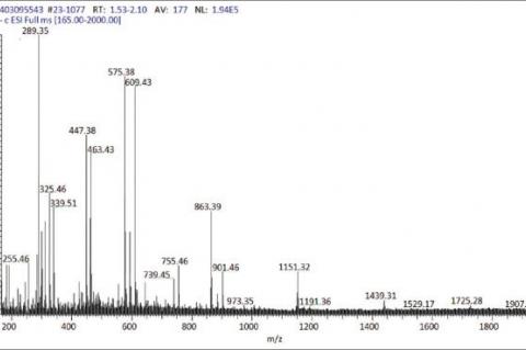 Chemical Characterization and Evaluation of Antioxidant and Antimicrobial Activities of Litchi chinensis Sonn.